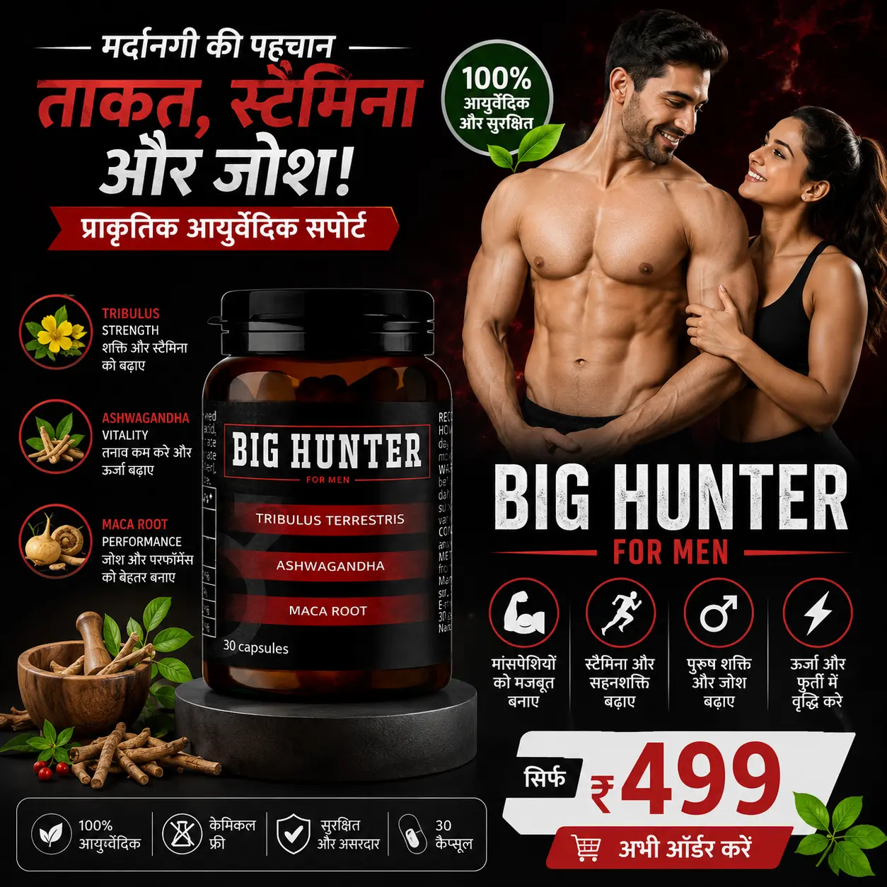 Big Hunter 30 Capsule Ayurvedic Herbal Wellness Supplement for Men